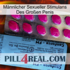 Männlicher Sexueller Stimulans Des Großen Penis 35